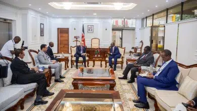 Photo de Le président de la République rencontre son homologue Kenyan