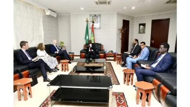 Photo de Envoyé personnel du SG de l’ONU pour le Sahara occidental : De Mistura reçu par le président mauritanien