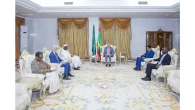 Photo de Le Président de la République reçoit Moussa Faki