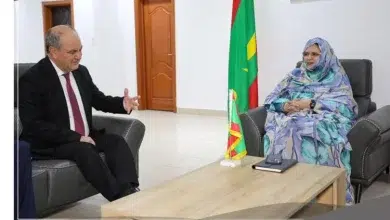 Photo de La ministre de l’Emploi reçoit l’Ambassadeur de Turquie