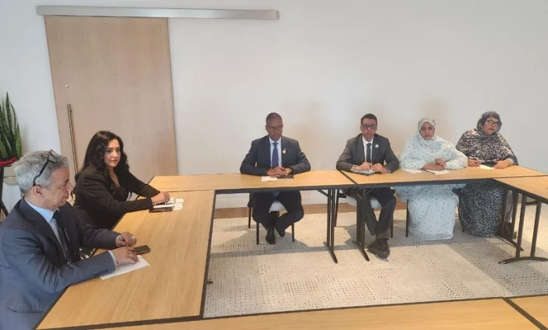 Photo de Le Premier ministre reçoit le PDG de GE Vernova Africa