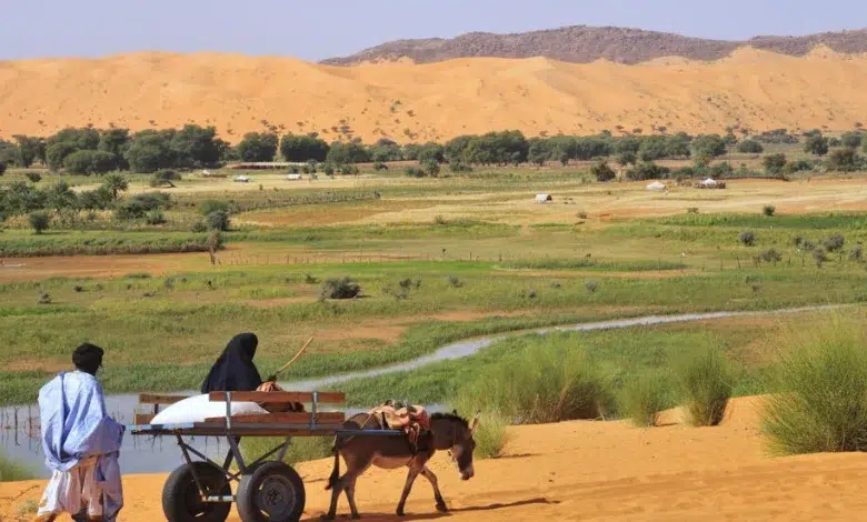 Une vue Moudjeria, dans la région du Tagant en Mauritanie. (Image d'illustration) Getty Images/imageBROKER RF - Peter Giovannini