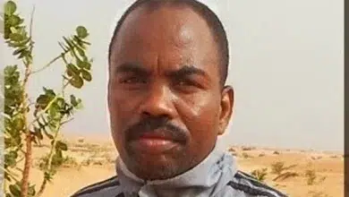 Photo de L&rsquo; animal politique réhabilité ! | lakhbaar tebgue vi dar