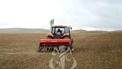 Photo de Algérie: le secteur agricole contribue au PIB à hauteur de 18%