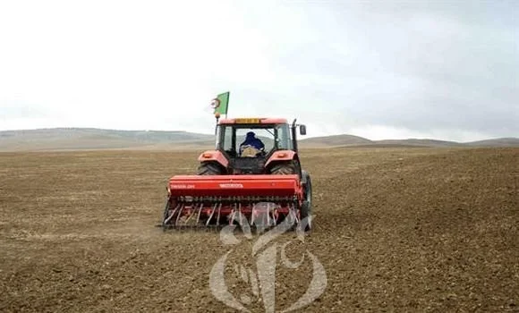 Photo de Algérie: le secteur agricole contribue au PIB à hauteur de 18%