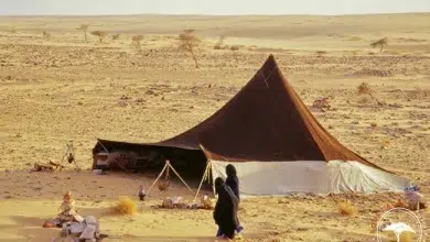 Photo de Les nomades en Mauritanie: entre exclusion et nécessité d’une approche inclusive