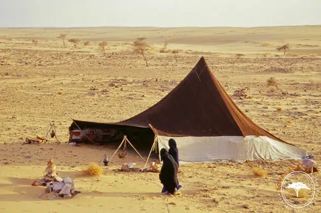 Les nomades en Mauritanie