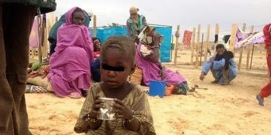 Rapport confidentiel : 100.000 réfugiés maliens arriveront en Mauritanie dans les prochains mois