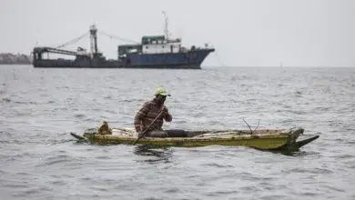 La sardinelle, le poisson le plus consommé au Sénégal, quitte les eaux du pays 5 Photo de La sardinelle, le poisson le plus consommé au Sénégal, quitte les eaux du pays