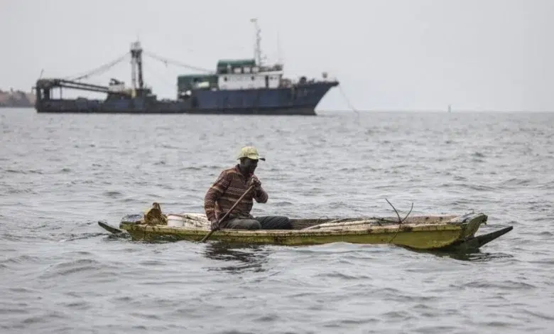 La sardinelle, le poisson le plus consommé au Sénégal, quitte les eaux du pays