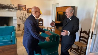 Photo de Bari:  Président Ghazouani s’entretient avec Tebboune