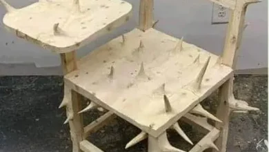 Présidentielle mauritanienne : sept candidats pour l'épineux fauteuil ! 2 Photo de Présidentielle mauritanienne : sept candidats pour l’épineux fauteuil !