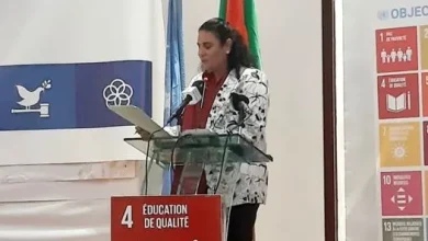 Photo de Atelier de validation du rapport de la Revue Nationale Volontaire des #ODD 2024