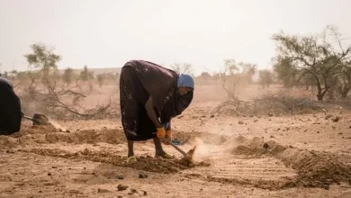 Le PAM lance une réponse majeure à la période de soudure en Afrique de l'Ouest et Centrale malgré une diminution des financements des opérations humanitaires 6 Photo de Le PAM lance une réponse majeure à la période de soudure en Afrique de l’Ouest et Centrale malgré une diminution des financements des opérations humanitaires