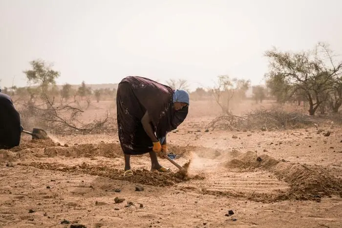 Photo de Le PAM lance une réponse majeure à la période de soudure en Afrique de l’Ouest et Centrale malgré une diminution des financements des opérations humanitaires