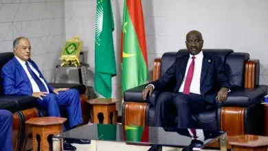 Photo de Le ministre des affaires étrangères reçoit en audience l’ambassadeur d’Algérie