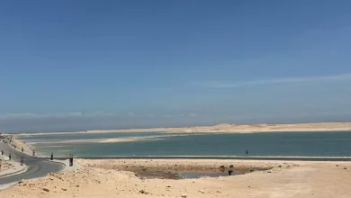 *Dénonciation d'un désastre écologique a Nouadhibou* ! 9 Photo de *Dénonciation d’un désastre écologique a Nouadhibou* !