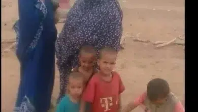 NOUHA mint Mohamed saleuh, PRESiDENTE ONG NOUR, _EUL KAMARE... 7 Photo de NOUHA mint Mohamed saleuh, PRESiDENTE ONG NOUR, _EUL KAMARE…