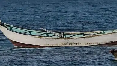 Découverte choquante au large des côtes dominicaines: 14 squelettes sont sortis du bateau! 8 Photo de Découverte choquante au large des côtes dominicaines: 14 squelettes sont sortis du bateau!