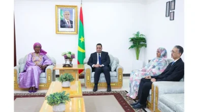 Le Premier ministre reçoit la représentante résidente de l’OMS 10 Photo de Le Premier ministre reçoit la représentante résidente de l’OMS