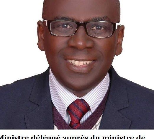 Photo de Portrait : Le nouveau Ministre délégué chargé du budget
