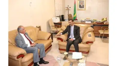 Photo de Diplomatie : Notre ambassadeur en Mauritanie reçue par plusieurs ministres