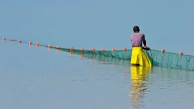 Photo de Guinée : huit pays africains discutent de la préservation des ressources naturelles du massif du Fouta Djallon