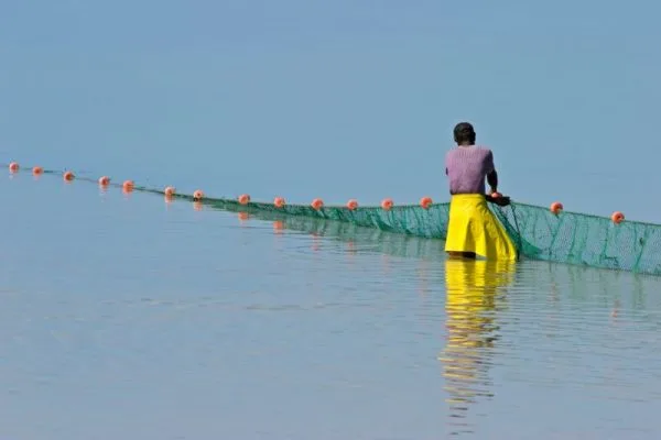 Une utilisation durable des ressources pourrait protéger l'avenir de la pêche en Afrique de l'Ouest.