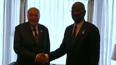 Photo de Forum sur la coopération sino-africaine: Attaf s&rsquo;entretient avec son homologue mauritanien