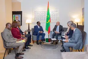 New York : Président Ghazouani s'entretient avec Akinwumi Adesina