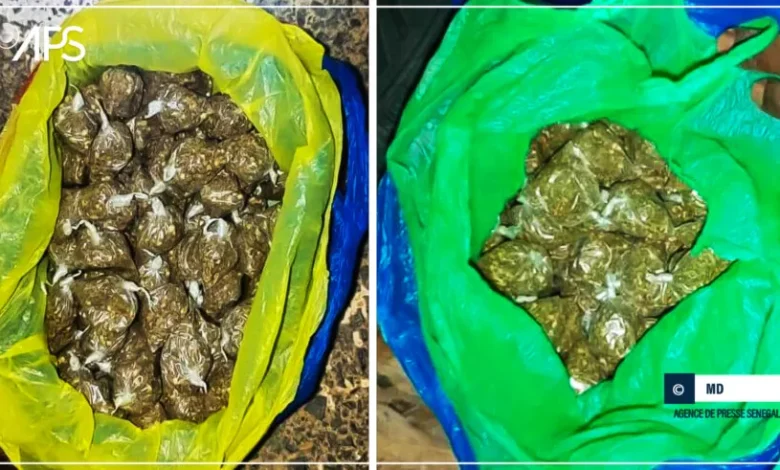 Photo de Ndioum au Sénégal : trois individus arrêtés en possession de près de 2 kg de chanvre indien