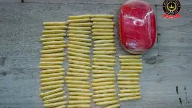 Photo de Libye : une Nigériane arrêtée avec 2 kilos de cocaïne à Tripoli