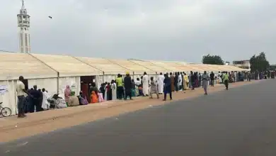 Photo de Touba : Une victoire écrasante de Pastef dans les 87 bureaux de Darou Marnane