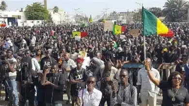 Photo de Legislatives 2024 au Sénégal : l’humble avis de Pape Alé Niang