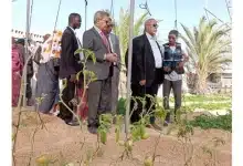 Photo de Le wali de Dakhlet-Nouadhibou visite des fermes maraîchères et la station de dessalement d’eau de mer