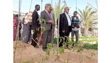 Photo de Le wali de Dakhlet-Nouadhibou visite des fermes maraîchères et la station de dessalement d’eau de mer