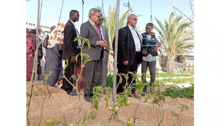 Le wali de Dakhlet-Nouadhibou visite des fermes