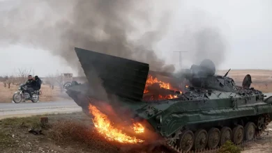 Photo de Syrie : Le lion de Damas chassé de sa tanière !