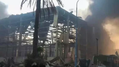 Photo de Raids israéliens meurtriers en pleine visite du patron de l’OMS.