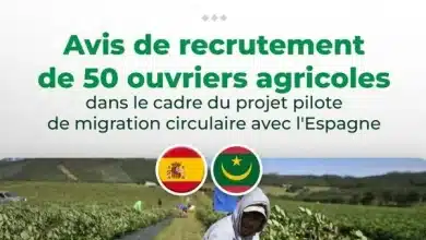 Photo de Migration : L’Espagne offre les premières opportunités d’emplois réguliers aux mauritaniens