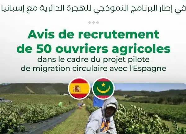 Migration : L’Espagne offre les premières opportunités d’emplois réguliers aux mauritaniens