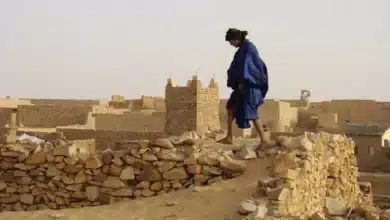 Photo de L’article d’Anne Vergonce, « Sous le ciel de Chinguetti, éclats de mémoire et promesses d’avenir pour la Mauritanie », suscite une profonde admiration