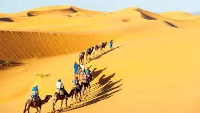 Photo de La Mauritanie lance son visa électronique | VisasNews