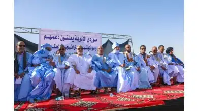 Photo de Les Fournisseurs Pharmaceutiques en Mauritanie s’engagent à lutter contre la contrebande et à coopérer avec le Gouvernement