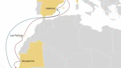 Photo de MSC lance la saison du melon avec de nouvelles routes entre le Sénégal, la Mauritanie et la Méditerranée Occidentale