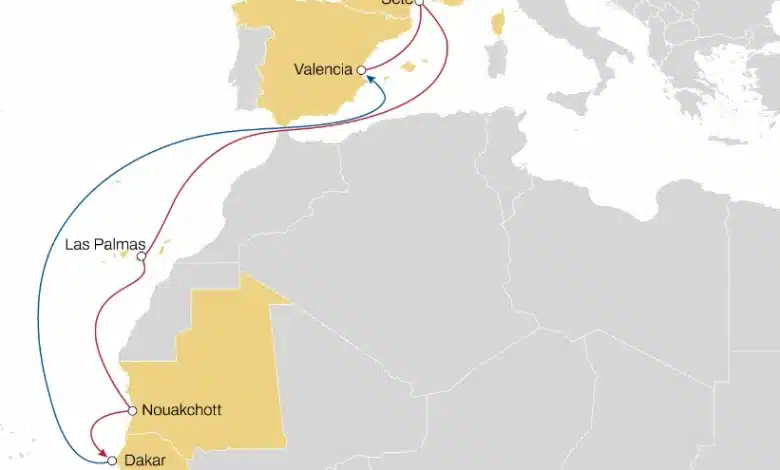 MSC lance la saison du melon avec de nouvelles routes entre le Sénégal, la Mauritanie et la Méditerranée Occidentale