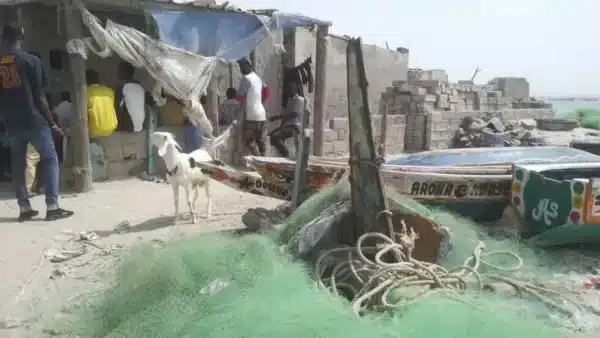 Pêcheurs saint-louisiens arrêtés en Mauritanie : un enjeu de bon voisinage entre Dakar et Nouakchott