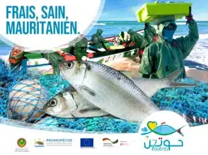 la Société mauritanienne de commercialisation du poisson a enregistré des volumes fluctuants