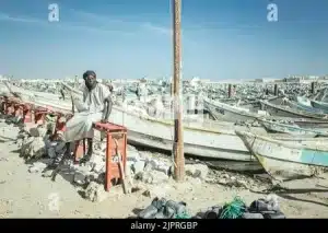 Dans les ports de Nouadhibou, des dockers sous-payés assurent la logistique d’une économie tournée vers l’exportation, sans voir les fruits de cette richesse.