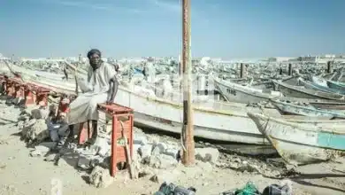 Photo de ÉDITORIAL — 1er MAI 2025: Travailleurs du monde : entre promesses et précarité